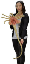Aliens - Facehugger Life-Size Foam Replica