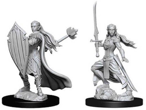 Dungeons & Dragons Nolzurs Marvelous Elf Paladin Female
