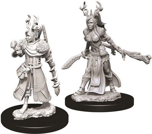 Dungeons & Dragons Nolzurs Marvelous Human Druid Female