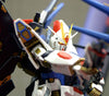 PG 1/60 Strike Freedom Gundam Model Kit