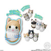 Coo'Nyats Mini Cat Figure Version 2 Blind Bag (Single)
