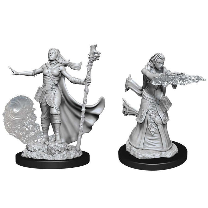 Dungeons & Dragons Nolzurs Marvelous Human Wizard Female