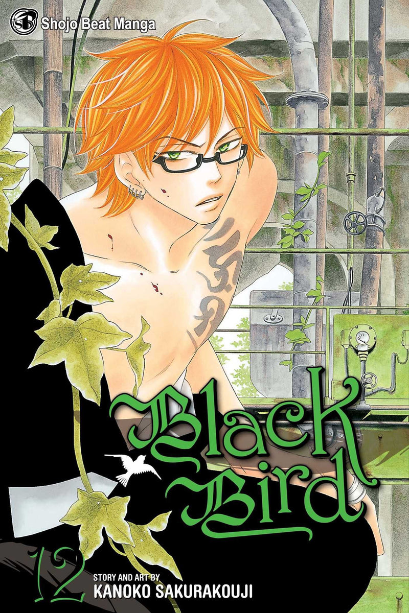 BLACK BIRD GN VOL 12