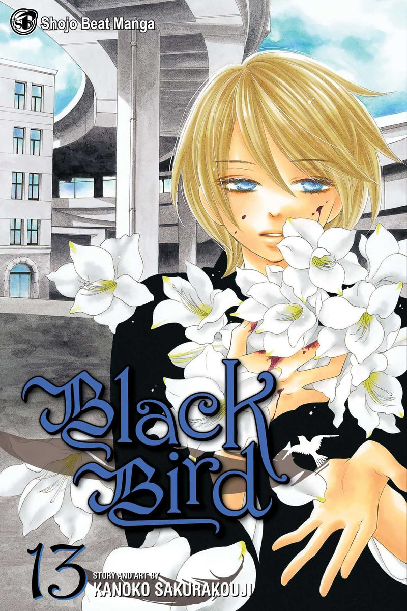 BLACK BIRD GN VOL 13