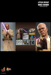 Star Wars Episode 2: Attack of the Clones - Mace Windu 1:6 Scale Action Figure
