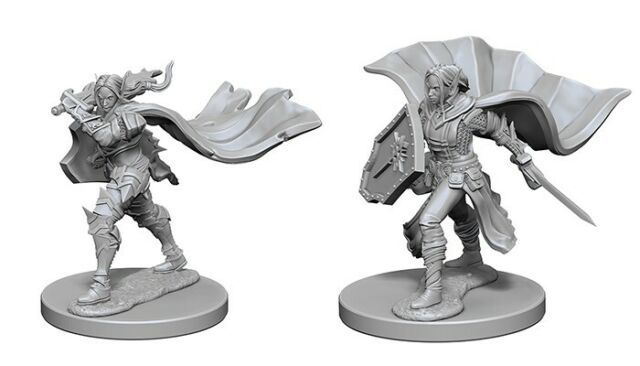 Pathfinder - Deep Cuts Unpainted Miniatures: Elf Female Paladin