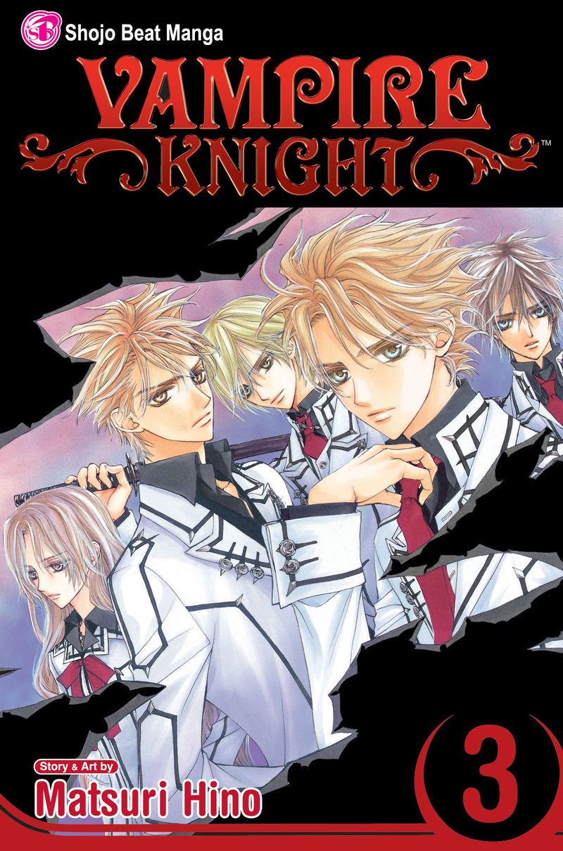 Vampire Knight - Vol. 3