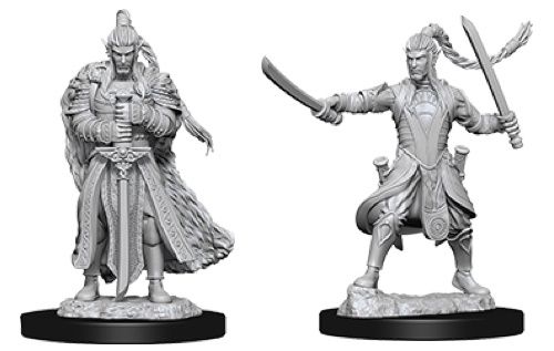 Dungeons & Dragons Nolzurs Marvelous Elf Paladin Male