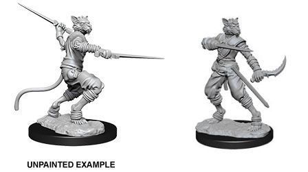 Dungeons and Dragons Nolzurs Marvelous Tabaxi Rogue Male