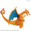 Pokemon - Charizard and Dragonite Model Kit