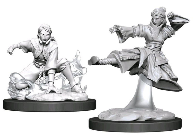 Dungeons & Dragons Nolzurs Marvelous Human Monk Female