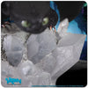 How to Train Your Dragon - Toothless on Light-Up Crystals Statue