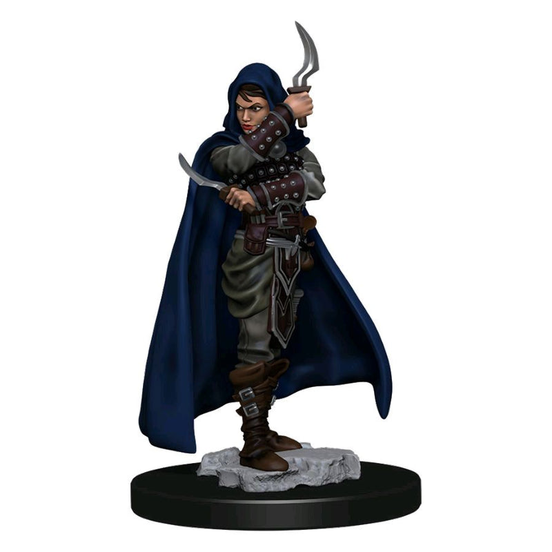 Pathfinder - Human Rogue Female Premium Figure