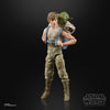 Star Wars: The Black Series - Luke Skywalker and Yoda (Jedi Training) Figure