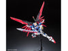 RG 1/144 Destiny Gundam Model Kit