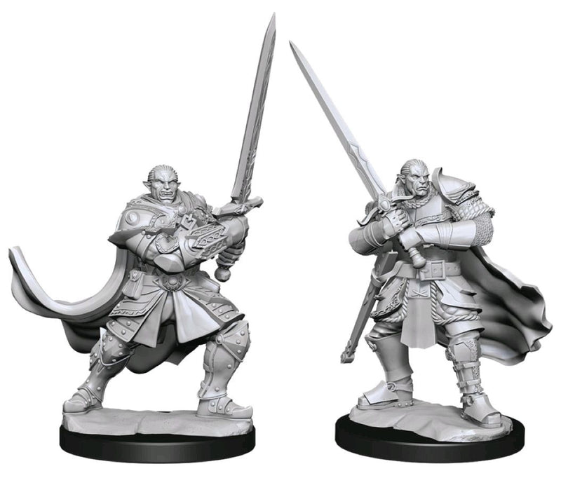 Dungeons & Dragons - Nolzurs Marvelous Unpainted Minis: Half-Orc Paladin Male