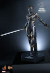 Black Panther 2: Wakanda Forever - Black Panther 1:6 Scale Figure