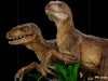 Jurassic Park - Two Raptors Deluxe 1:10 Scale Statue