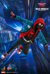 Spider-Man: Into the Spider-Verse - Miles Morales 1:6 Scale 12
