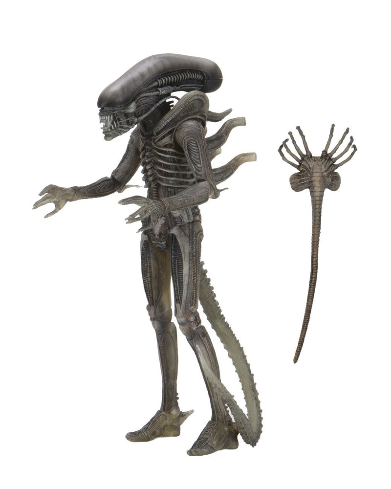 Alien - 40th Anniversary (Series 04) Giger Alien 7” Action Figure