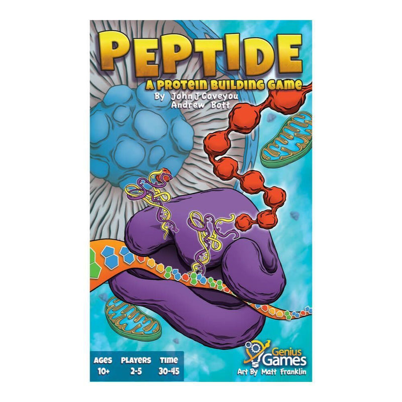 Peptide A Protein Building Game