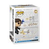 Harry Potter - Neville with Pixies Pop! Vinyl Figure (NYCC 22 Exclusive)