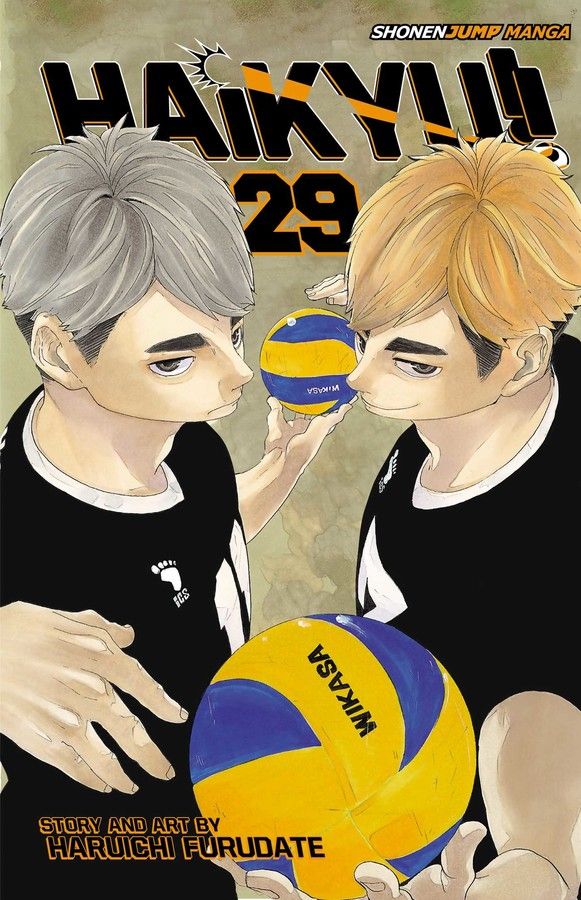 Haikyu - Vol. 29