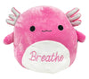 Squishmallows - Calm 16 Inch Assorted Plush (Single)