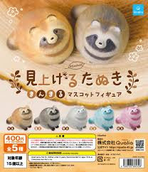 Upward-Looking Tanuki Round Blind Gacha (Single)