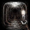 The Night Cage: The Shrieking Hollow