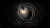 The Night Cage: The Shrieking Hollow