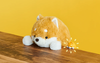 Dreams: Funbaras (Posture Pals) Hipper Series Blind Box (Single)