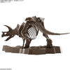 1/32 Imaginary Skeleton Triceratops Model Kit