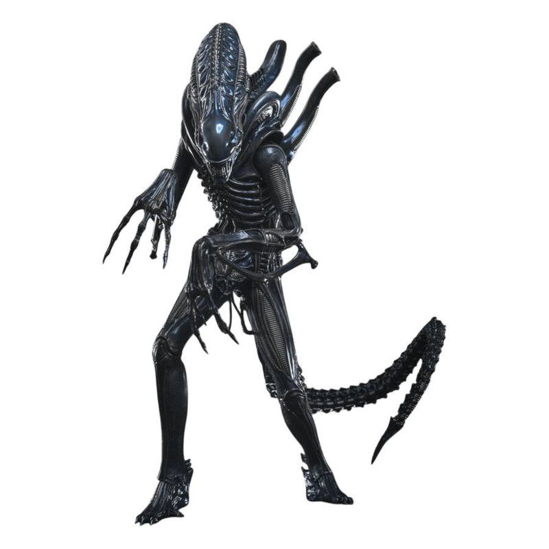 Aliens - Alien Warrior 1/6 Scale Collectable Action Figure