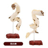 Spirited Away: Gods Pose Collection Series Blind Box (Single)