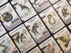 Wyrmspan: Dragon Academy Expansion