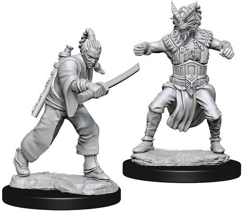 Dungeons & Dragons: Human Monk Male